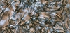 Van Gogh Glas 5x10 cm - Champagner-Silber - 1 St.