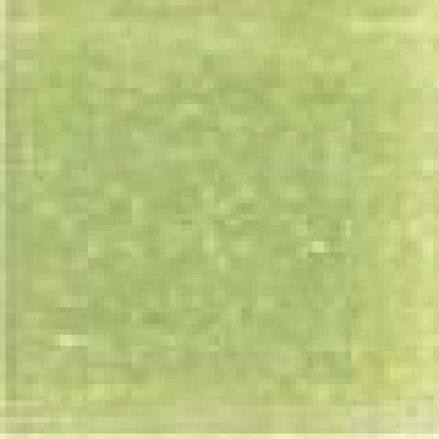 BISAZZA Vetricolor 20x20mm - VTC 20.89 Grün - 2,07 m²