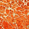 Safety-Glas Mosaikplatte 15x20cm - Orange