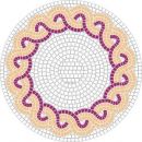 Mosaikvorlage Rund Ø 60 cm - Traiani